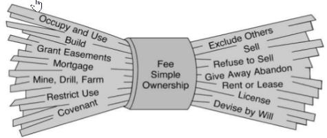 Bundle of rights graphic