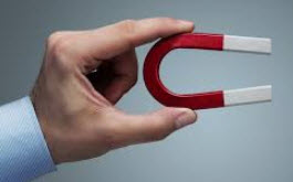 photo of horse shoe magnet