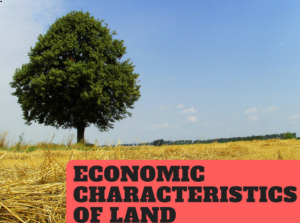 photo of Land economics